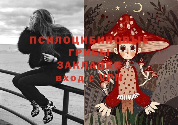 а пвп мука Алзамай