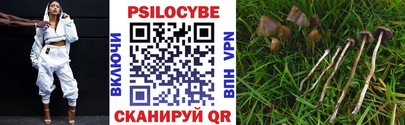 хочу наркоту  Орск  Галлюциногенные грибы Psilocybine cubensis 