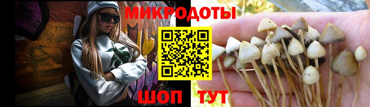 Галлюциногенные грибы MAGIC MUSHROOMS  Вход с VPN  Орск 